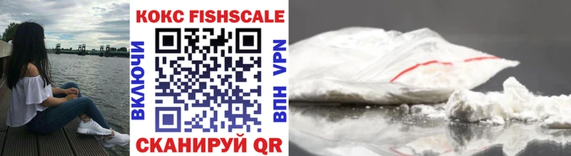 где купить наркоту  Шадринск  Cocaine Fish Scale 