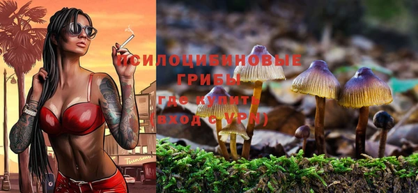 кристаллы Мегион