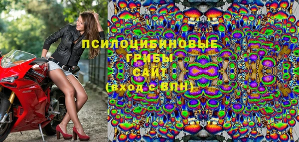 мдпв Медвежьегорск