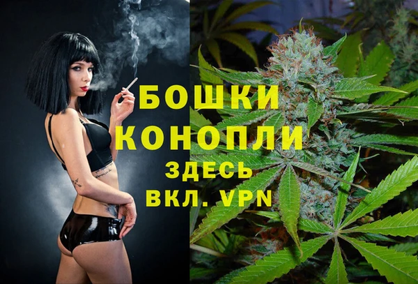 мдпв Медвежьегорск