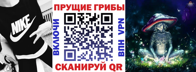 дарнет шоп  Шадринск  Псилоцибиновые грибы Psilocybe 