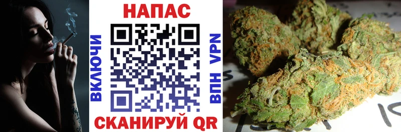 Каннабис VHQ shop клад Шадринск